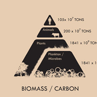 Global Biomass